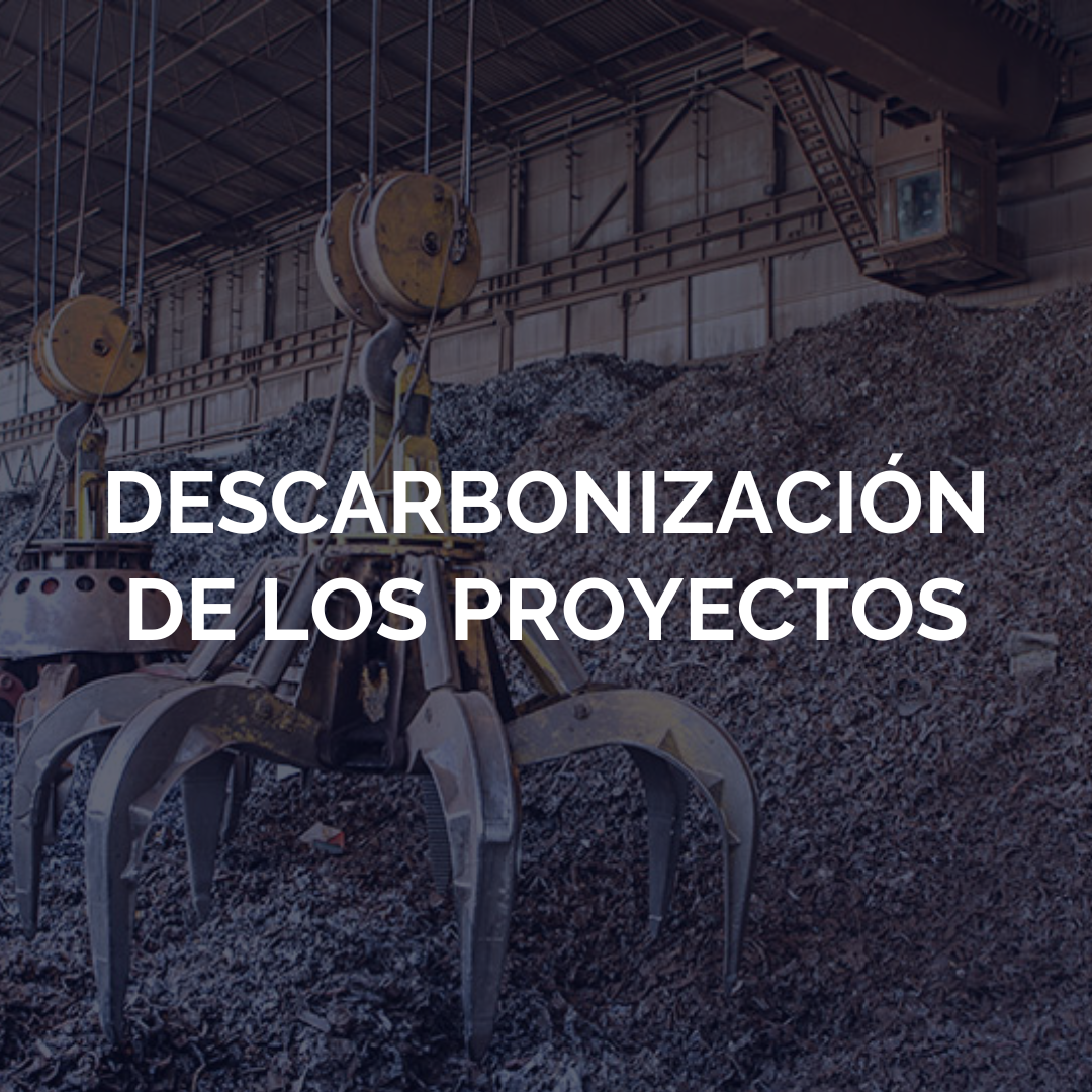 Newsletter Agosto 2025